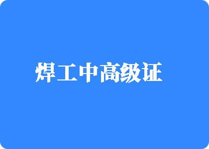 大鸡巴操岛国骚逼焊工中高级证